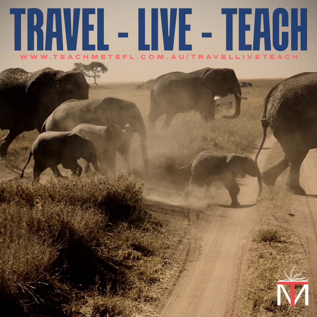 travel live teach